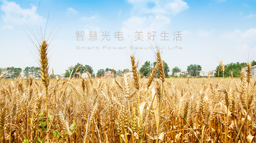 我國(guó)首部能源法正式問(wèn)世、國(guó)家能源局/工信部最新通知、?支持企業(yè)引進(jìn)光伏技術(shù)、虛擬電廠全電量參與現(xiàn)貨電能量交易出清…… - 拷貝