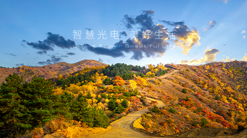 十二部門發(fā)布重要方案、國(guó)家能源局發(fā)布能源和綠證數(shù)據(jù)、廣東省發(fā)布虛擬電廠參與電力市場(chǎng)交易實(shí)施方案……