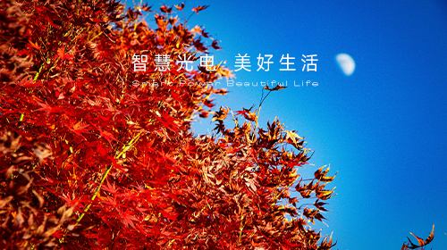 國(guó)家能源局發(fā)布指導(dǎo)意見和新批次名單、國(guó)家統(tǒng)計(jì)局解讀11月份CPI和PPI數(shù)據(jù)、?新一輪儲(chǔ)能政策頒布……